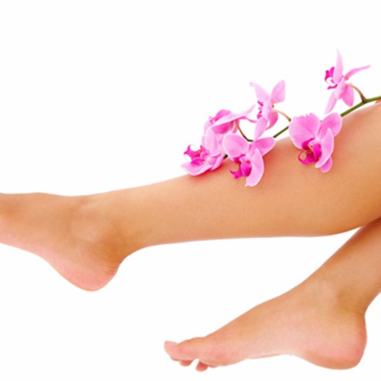 legs-orchideas